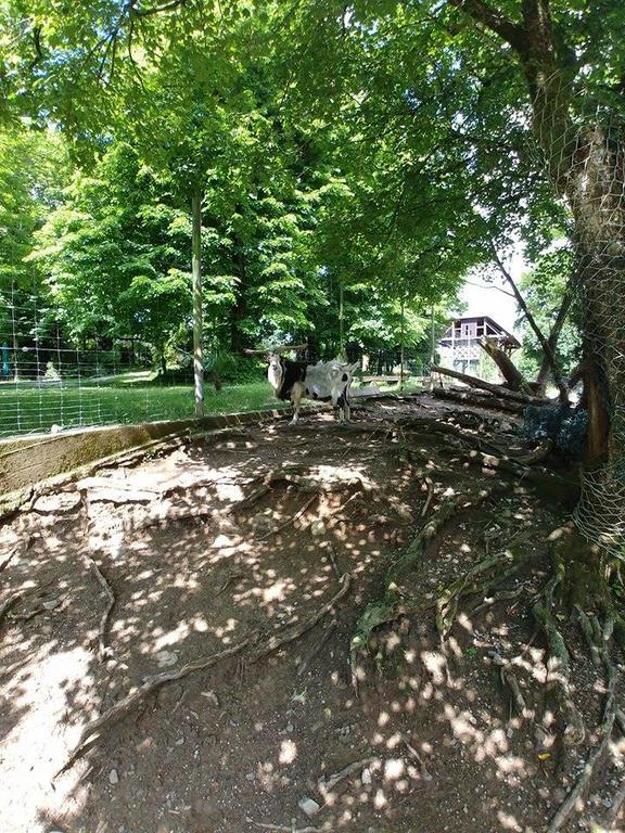 Guest House Sterk Nova Gorica Exterior photo